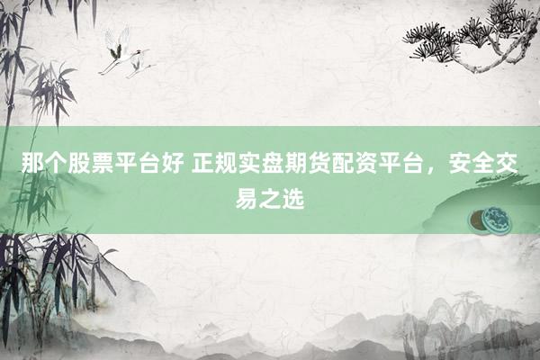 那个股票平台好 正规实盘期货配资平台，安全交易之选