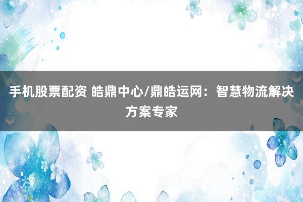 手机股票配资 皓鼎中心/鼎皓运网：智慧物流解决方案专家