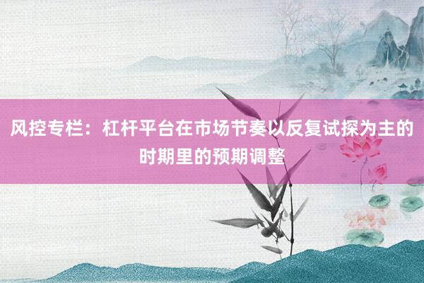 风控专栏：杠杆平台在市场节奏以反复试探为主的时期里的预期调整