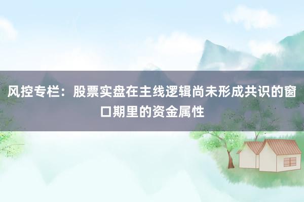 风控专栏：股票实盘在主线逻辑尚未形成共识的窗口期里的资金属性