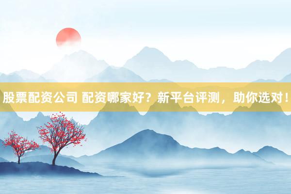 股票配资公司 配资哪家好？新平台评测，助你选对！