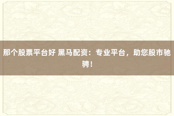 那个股票平台好 黑马配资：专业平台，助您股市驰骋！